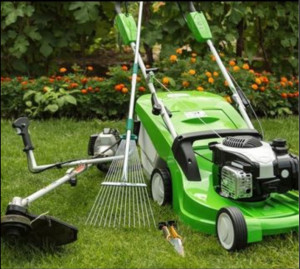 Photo de galerie - Je suis passionné pour m’occuper d’une pelouse que sa sois tondre débroussailler et faire un jardin 