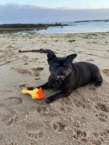 Photo de galerie - Moky 