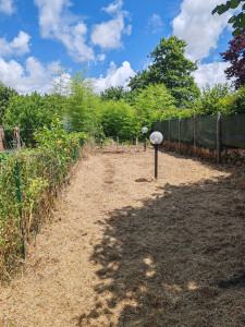 Photo de galerie - Tonte de pelouse - Débroussaillage