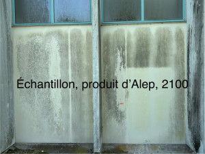 Photo de galerie - Échantillon de produits  (avant)   (après)