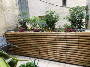 Photo de galerie - Plantation et aménagement d’une terrasse à Avignon centre-ville!