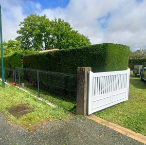 Photo de galerie - Taille de haie 