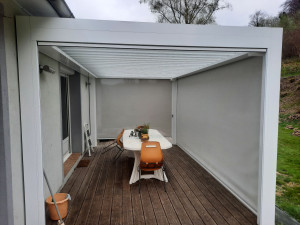 Photo de galerie - Nettoyage d'une pergola