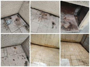 Photo de galerie - Nettoyage après déménagement, terrasse envahit par des animaux la nuit. 