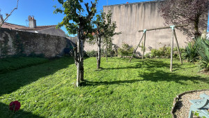 Photo de galerie - Entretien petit Jardin