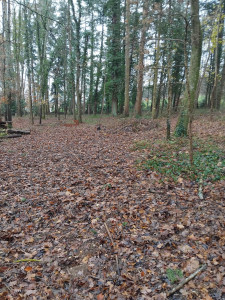 Photo de galerie - Paysagiste - Aménagement du jardin