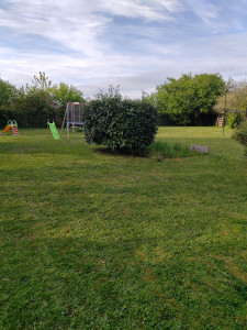 Photo de galerie - Tonte de pelouse - Débroussaillage