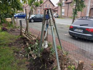 Photo de galerie - Elagage et coupe d'arbres