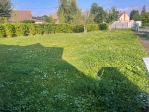 Photo de galerie - Tonte de pelouse - Débroussaillage