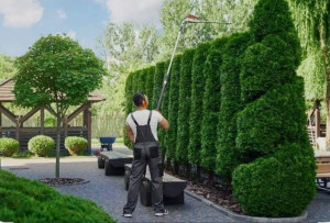 Photo de galerie - Contactee moi pour toutes demande