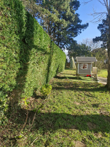 Photo de galerie - Apres 