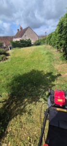 Photo de galerie - Tonte de pelouse