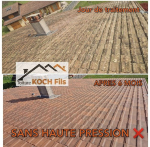 Photo de galerie - Couverture - Toiture