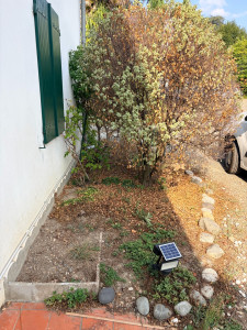 Photo de galerie - Projet d’embellissement d’un parterre 