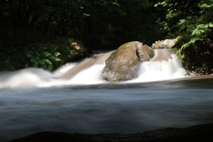 Photo de galerie - La zenitute