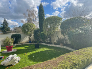 Photo de galerie - Taille de printemps 2/3 