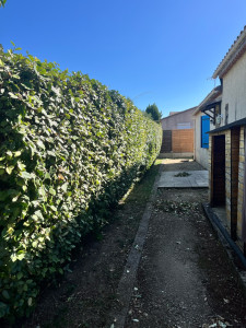 Photo de galerie - Taille de haie 