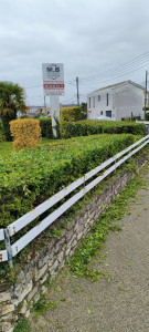 Photo de galerie - Taille de haies 