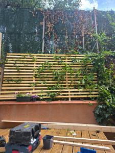 Photo de galerie - Création et fixation d une structure en bois pour accueillir des plantes grimpantes ( chèvrefeuille )