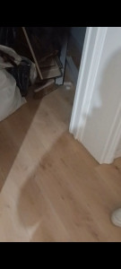 Photo de galerie - Bonne coupe 