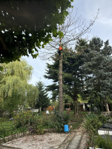 Photo de galerie - Paysagiste - Aménagement du jardin