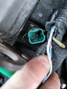 Photo de galerie - élasticité auto 