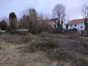 Photo de galerie - Elagage et coupe d'arbres