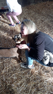 Photo de galerie - Garde animaux