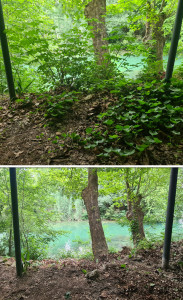 Photo de galerie - Débroussaillage en bordure du Lez !  