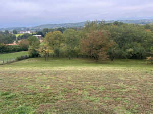 Photo de galerie - Débroussaillage de talus 