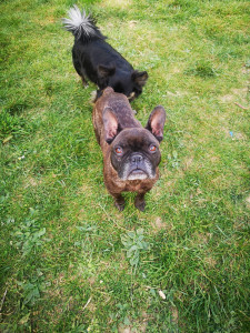 Photo de galerie - Garde à mon domicile 