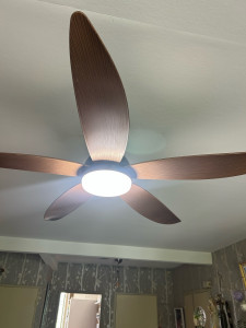 Photo de galerie - Ventilateur lampe 