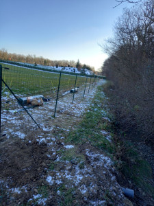 Photo de galerie - ??