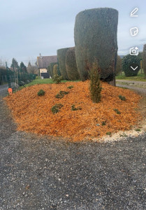 Photo de galerie - Mise en place d’une bâche et du copeaux de bois 
