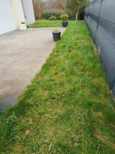 Photo de galerie - Tonte de pelouse - Débroussaillage