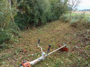 Photo de galerie - Tonte de pelouse - Débroussaillage