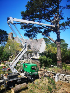 Photo de galerie - Intervention d'abattement 
travaille de qualité minutieux netoiyage de chantier après intervention 