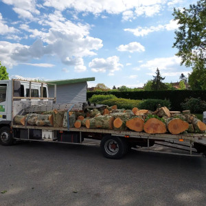 Photo de galerie - Transport de véhicules - Remorquage