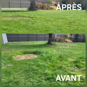 Photo de galerie - Remise au propre