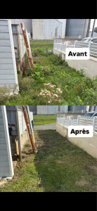 Photo de galerie - Tonte de pelouse - Débroussaillage