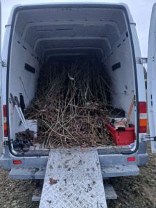 Photo de galerie - Débarrasser les végétaux en déchetterie 