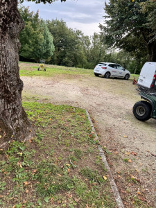 Photo de galerie - Paysagiste - Aménagement du jardin