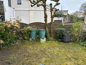 Photo de galerie - Tonte de pelouse - Débroussaillage