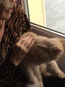 Photo de galerie - Garde de Doudou