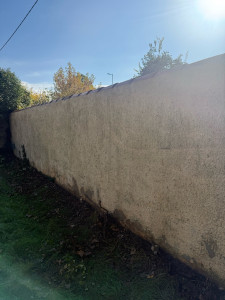 Photo de galerie - APRÈS : Nettoyage du mur au karcher 