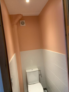 Photo de galerie - Peinture / Enduit