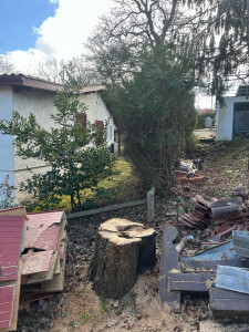 Photo de galerie - Abattage et évacuation d’un chêne