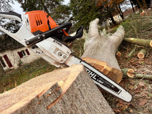 Photo de galerie - Équiper avec stihl!