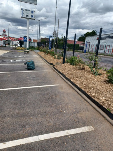 Photo de galerie - Création haies champêtre avec pose geotextile et paillage