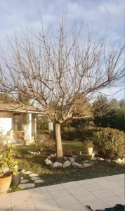 Photo de galerie - Jardinier